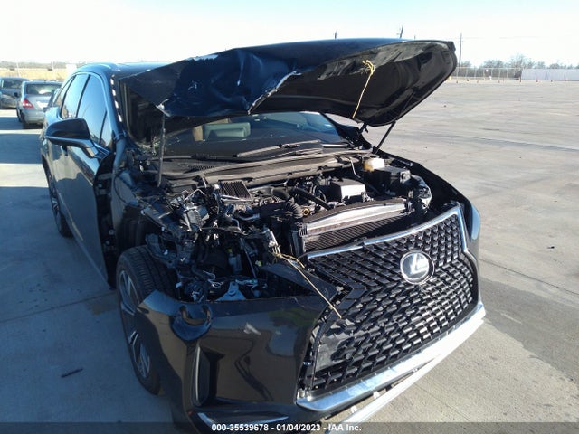 2021 Lexus RX, VIN: JTJHZKFA6M2033029