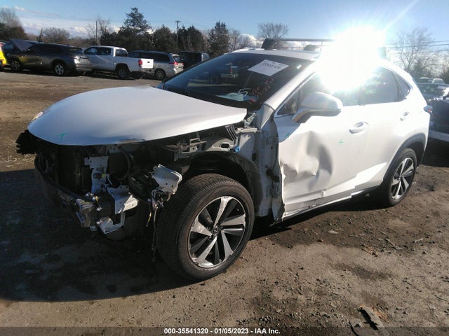 2020 Lexus NX, VIN: JTJGARDZ5L5006339