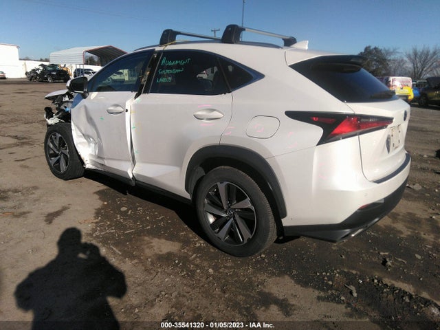 2020 Lexus NX, VIN: JTJGARDZ5L5006339