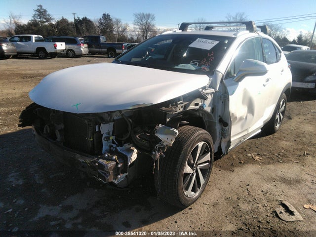 2020 Lexus NX, VIN: JTJGARDZ5L5006339