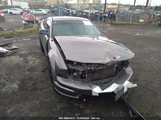 2006 FORD MUSTANG GT VIN: 1ZVHT82HX65122482