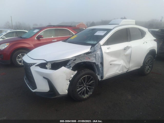 2022 Lexus NX, VIN: JTJADCAZ2N2001859