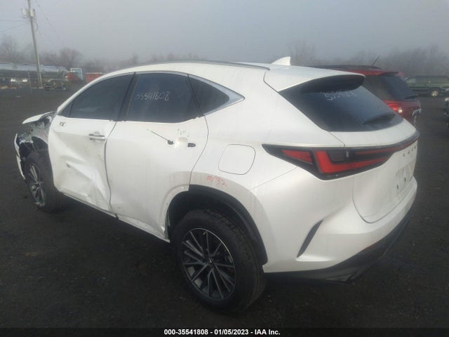 2022 Lexus NX, VIN: JTJADCAZ2N2001859