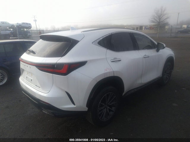 2022 Lexus NX, VIN: JTJADCAZ2N2001859