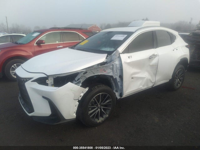 2022 Lexus NX, VIN: JTJADCAZ2N2001859