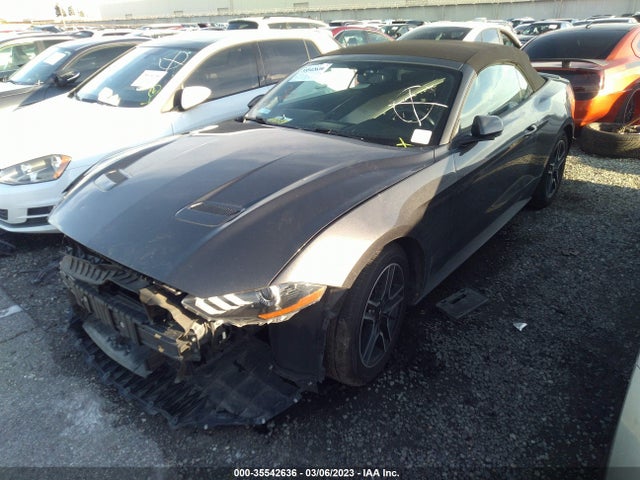 2019 Ford Mustang, VIN: 1FATP8UH4K5109743