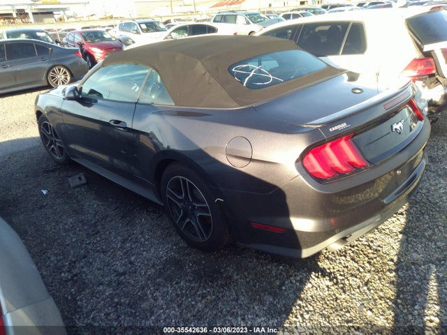 2019 Ford Mustang, VIN: 1FATP8UH4K5109743