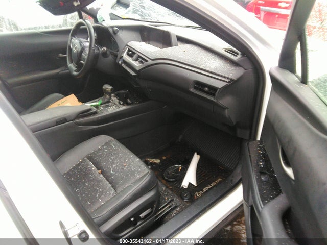 2021 Lexus UX, VIN: JTHP9JBH9M2040826