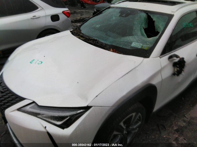 2021 Lexus UX, VIN: JTHP9JBH9M2040826