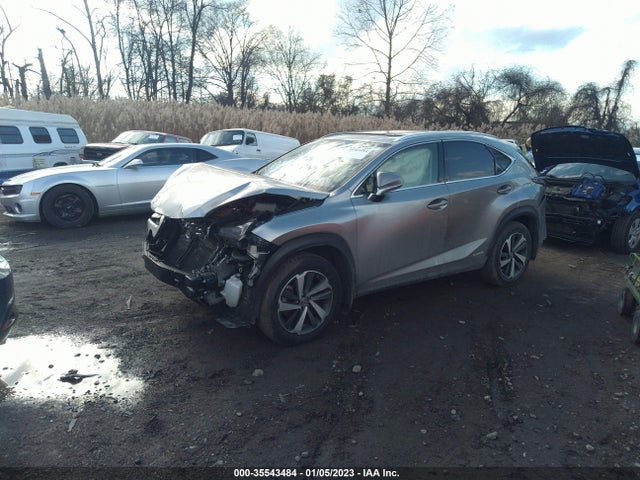Lexus Nx Nx 300h 2020 JTJGJRDZ9L2129272 Image 2