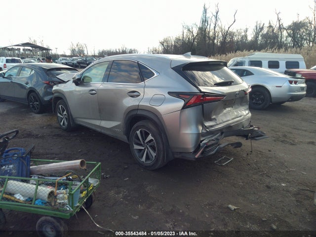 Lexus Nx Nx 300h 2020 JTJGJRDZ9L2129272 Image 3