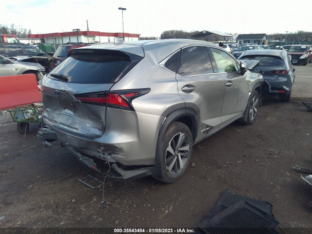 Lexus Nx Nx 300h 2020 JTJGJRDZ9L2129272 Image 4