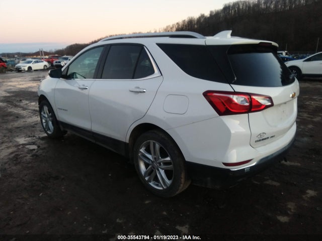 2019 CHEVROLET EQUINOX PREMIER VIN: 2GNAXYEX3K6167815