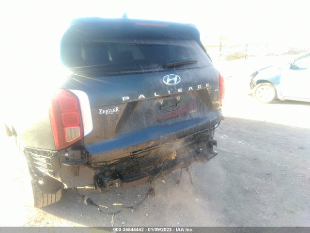 2020 Hyundai Palisade, VIN: KM8R5DHE8LU082343