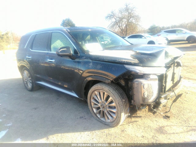 2020 Hyundai Palisade, VIN: KM8R5DHE8LU082343