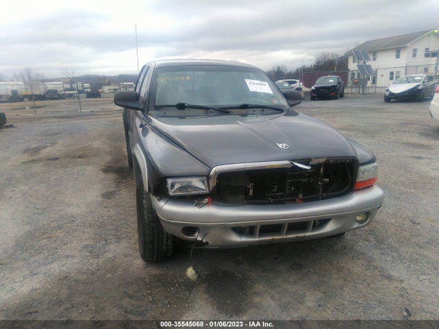 2003 DODGE DAKOTA SLT VIN: 1D7HG48NX3S195562
