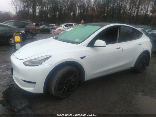 Tesla Model Y Long Range 2021 5YJYGDEE8MF244870 Image 2