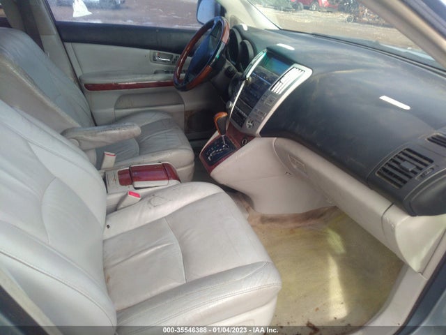 2006 LEXUS RX 330 VIN: JTJGA31UX60060467