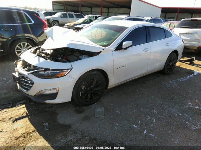 2019 Chevrolet Malibu, VIN: 1G1ZD5ST4KF117928