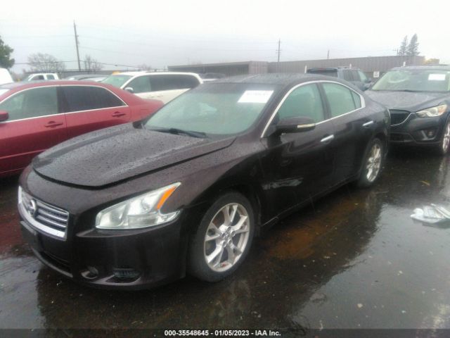 1N4AA5AP0EC434876 Nissan Maxima 3.5 Sv W/premium Pkg