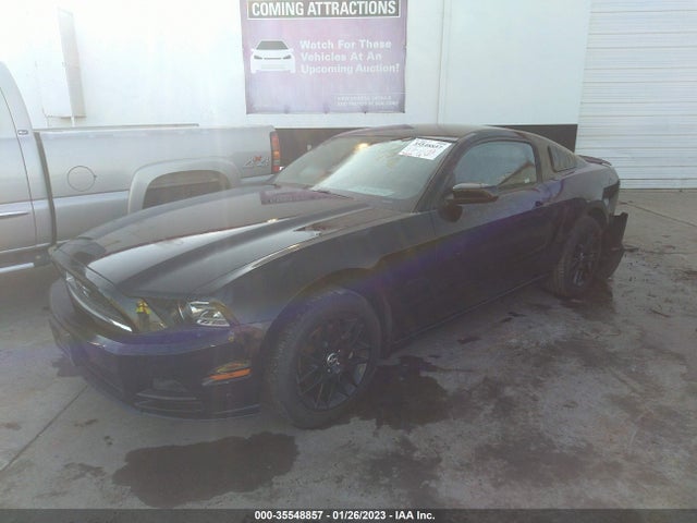Ford Mustang V6 2014 1ZVBP8AM0E5328174 Image 2