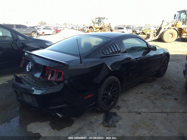 Ford Mustang V6 2014 1ZVBP8AM0E5328174 Image 5
