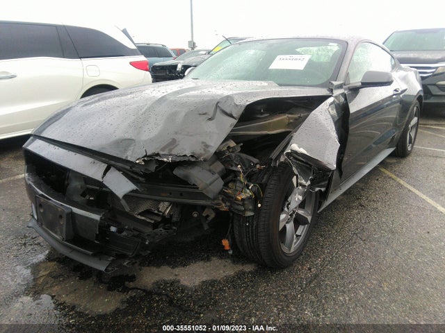 2015 Ford Fastback, VIN: 1FA6P8AM3F5403882
