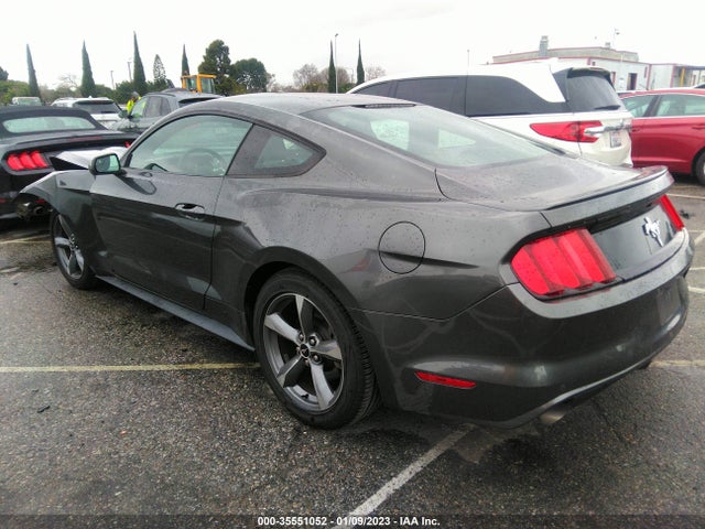 2015 Ford Fastback, VIN: 1FA6P8AM3F5403882