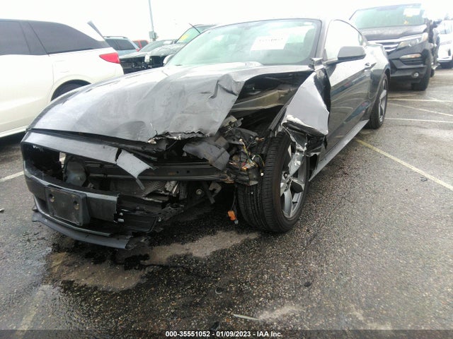 2015 Ford Fastback, VIN: 1FA6P8AM3F5403882