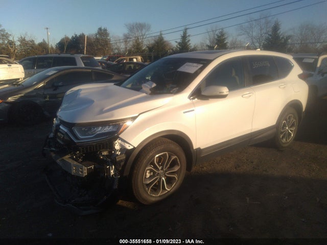 2022 Honda CR-V, VIN: 5J6RT6H54NL004988