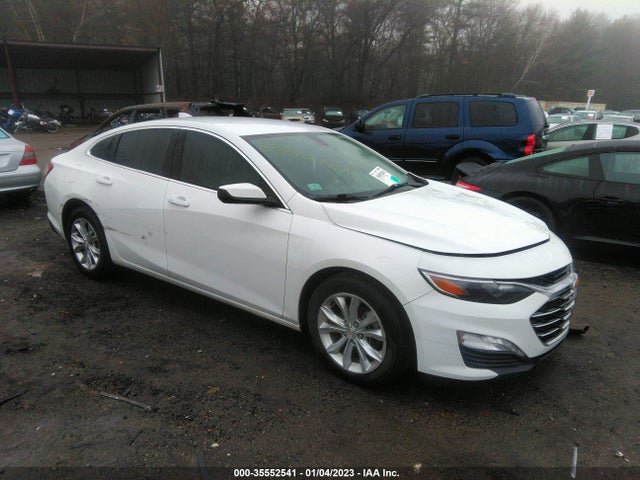 2019 Chevrolet Malibu, VIN: 1G1ZD5ST4KF117587