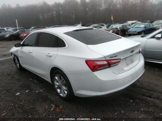 2019 Chevrolet Malibu, VIN: 1G1ZD5ST4KF117587