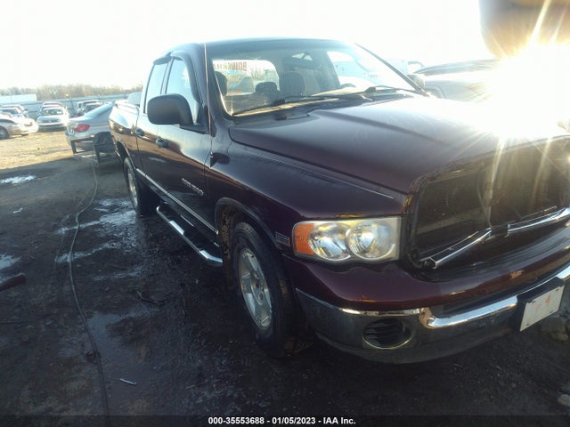 Dodge Ram 1500 Slt 2004 1D7HA18DX4S615880 главное изображение