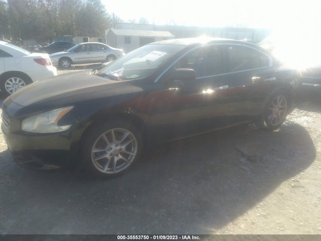 2011 NISSAN MAXIMA 3.5 VIN: 1N4AA5APXB3806753