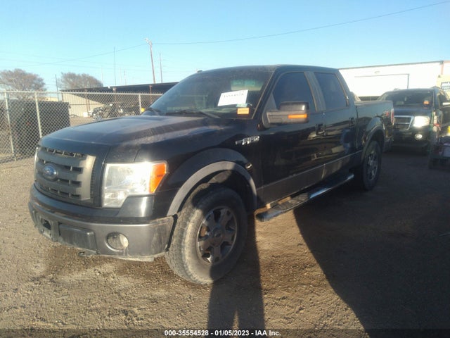 2009 FORD F-150 XL/XLT/FX4/LARIAT VIN: 1FTPW14V29FA06451