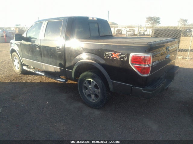 2009 FORD F-150 XL/XLT/FX4/LARIAT VIN: 1FTPW14V29FA06451