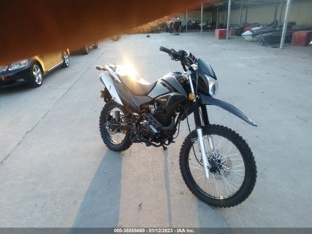 2021 RPS DIRT BIKE VIN: L0WHDN106M1001045