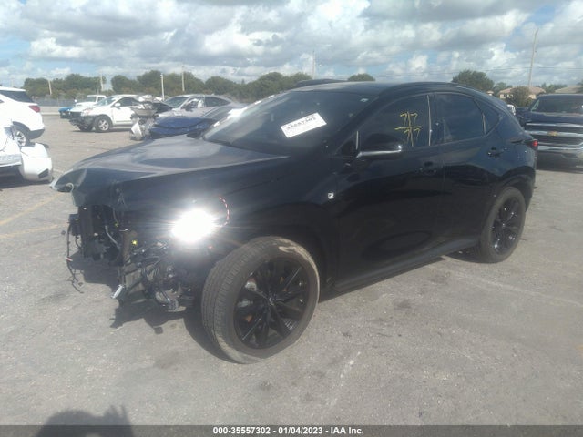 2022 Lexus NX, VIN: JTJKGCEZ5N5000788