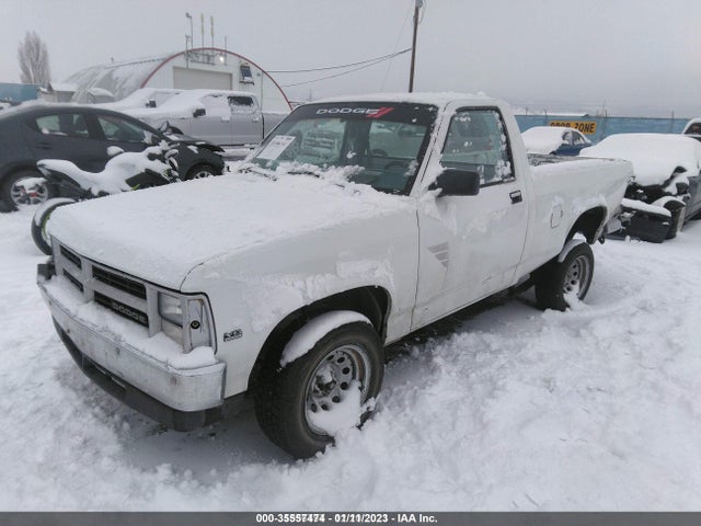 1989 DODGE DAKOTA VIN: 1B7GL26X2KS057779