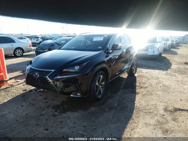 2018 Lexus NX, VIN: JTJYARBZ8J2096804