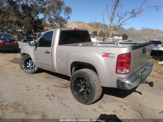 GMC SIERRA 1500 2007 1GTEK14057Z639500 Image 3