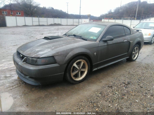 2003 FORD MUSTANG PREMIUM MACH 1 VIN: 1FAFP42R13F434900