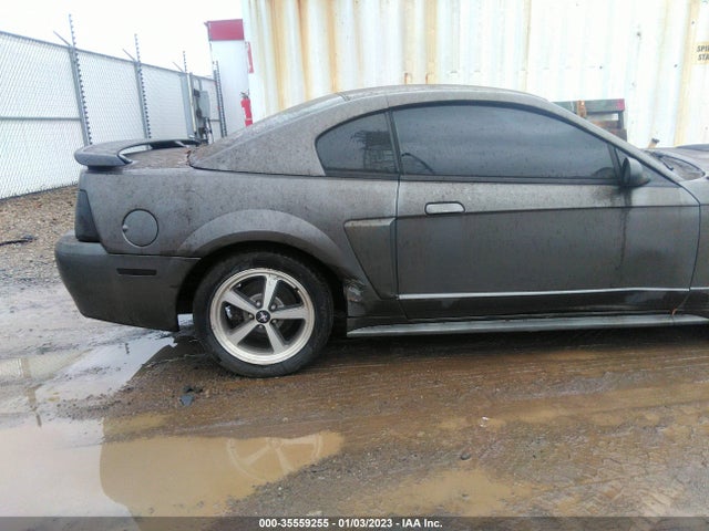 2003 FORD MUSTANG PREMIUM MACH 1 VIN: 1FAFP42R13F434900