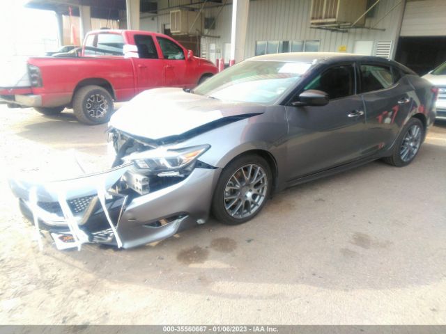 1N4AA6APXGC392046 Nissan Maxima 3.5 S