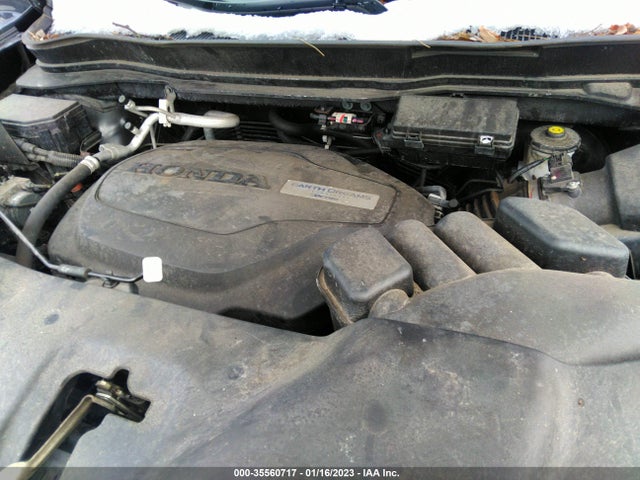 2019 Honda Passport, VIN: 5FNYF8H5XKB013634