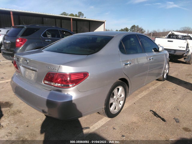 Lexus ES 330 2005 JTHBA30GX55129716 Image 5