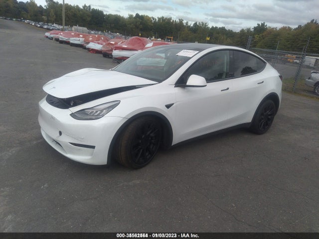 Tesla Model Y 2021 5YJYGDEE0MF102190 Image 2