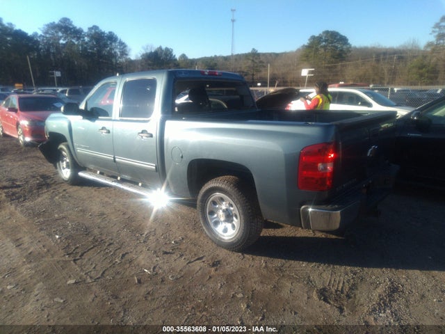 2009 CHEVROLET SILVERADO 1500 LS VIN: 3GCEC13C89G225204