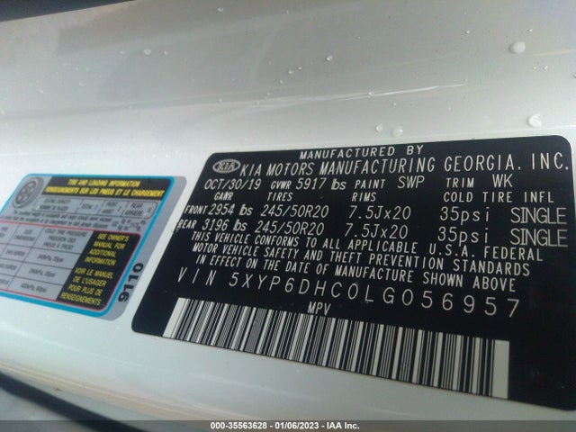 2020 Kia Telluride, VIN: 5XYP6DHC0LG056957