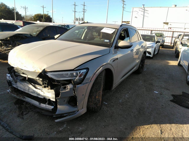 2021 Audi e-tron, VIN: WA1LAAGE8MB021913